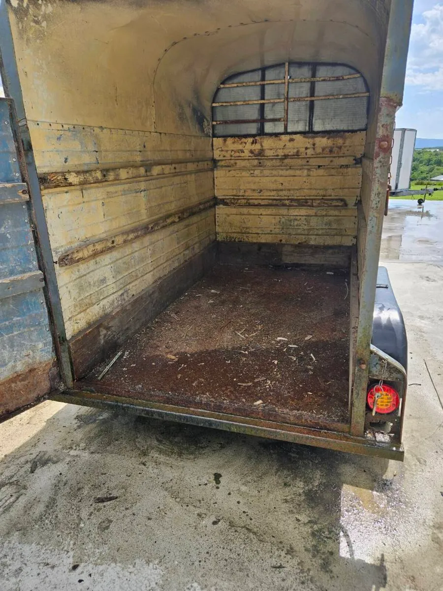8x4 cowbox Trailer - Image 2