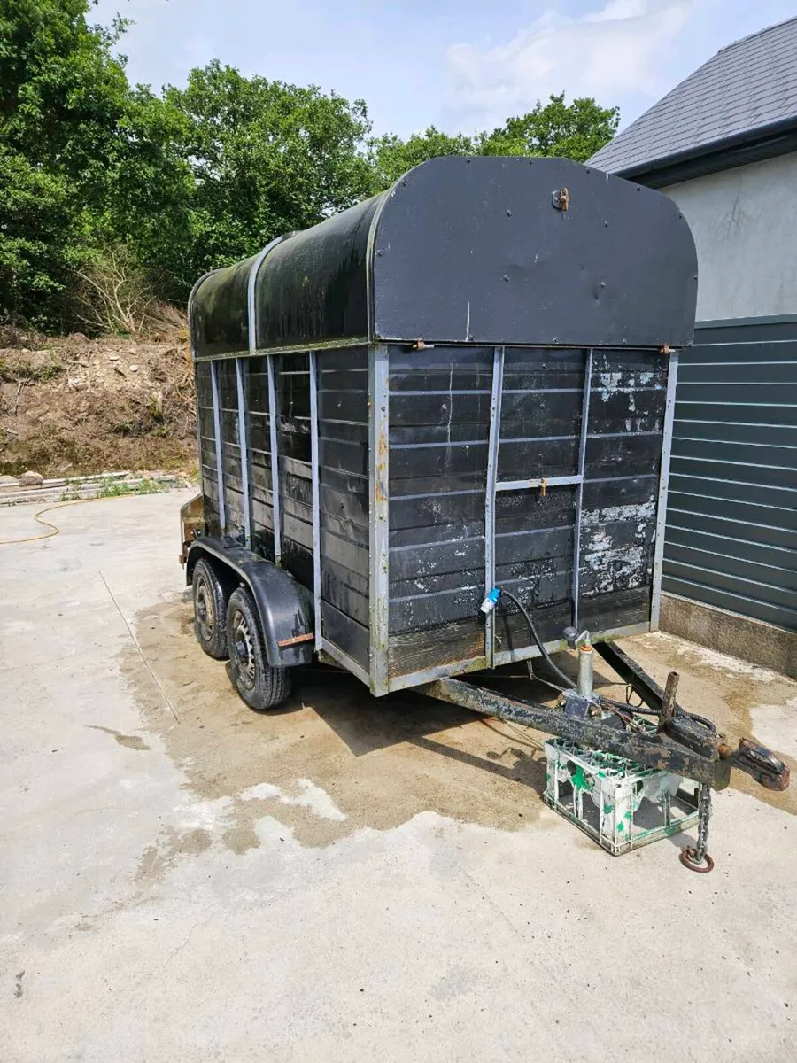 8x4 cowbox Trailer - Image 3