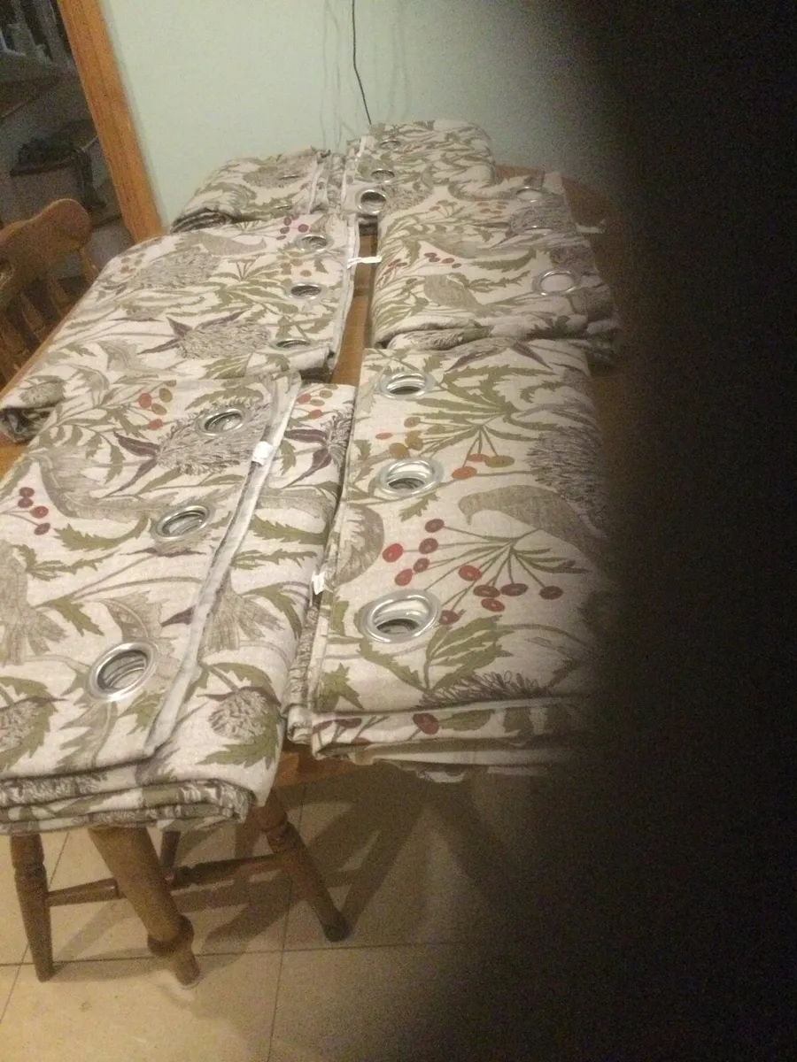 Curtains - Image 3