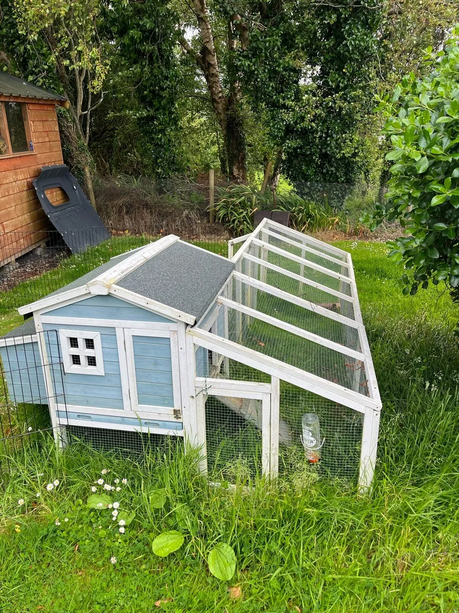 Rabbit hutch - Image 1