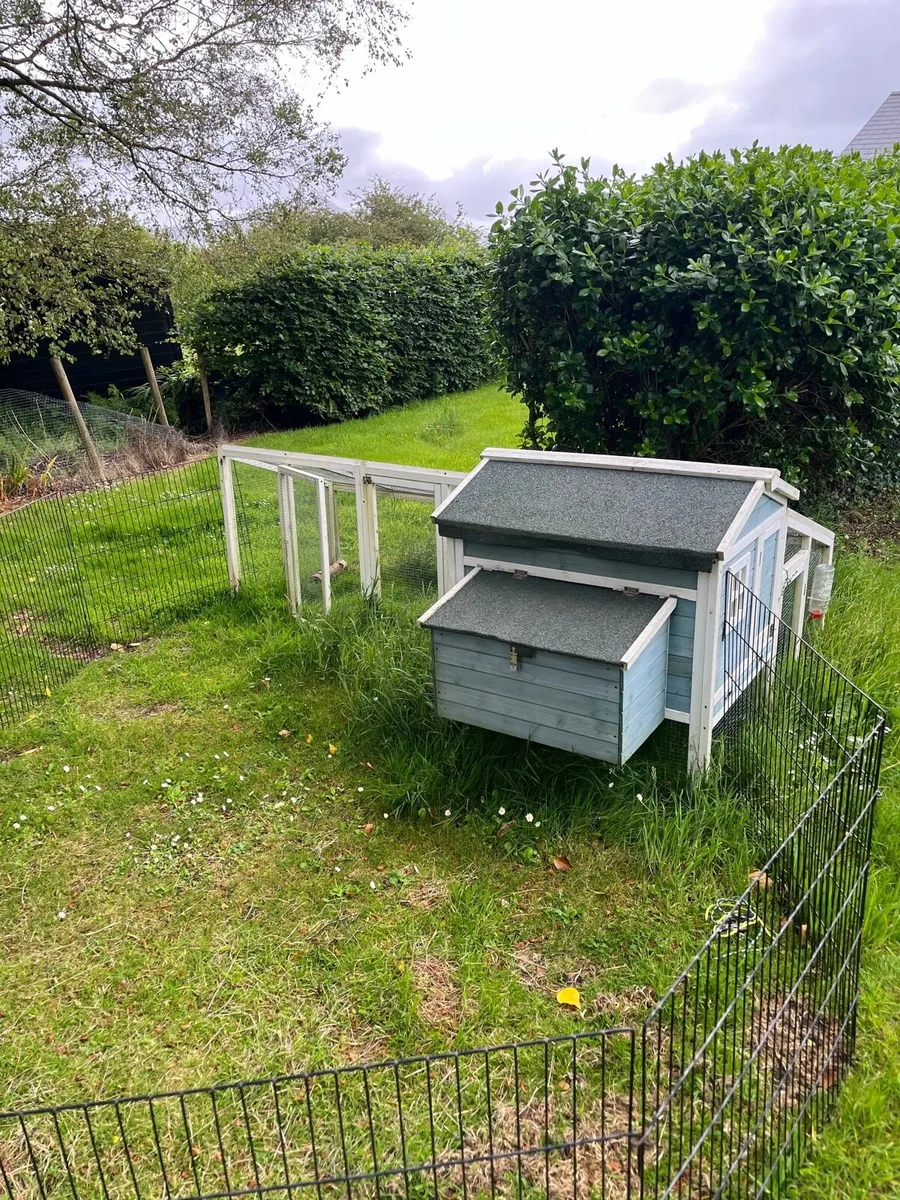 Rabbit hutch - Image 3