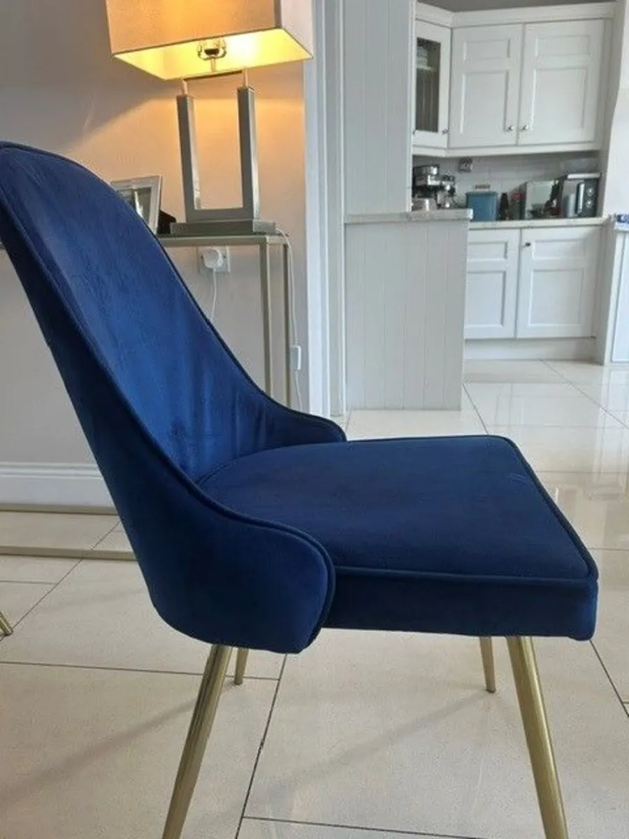 Navy velvet dining chairs - Image 2