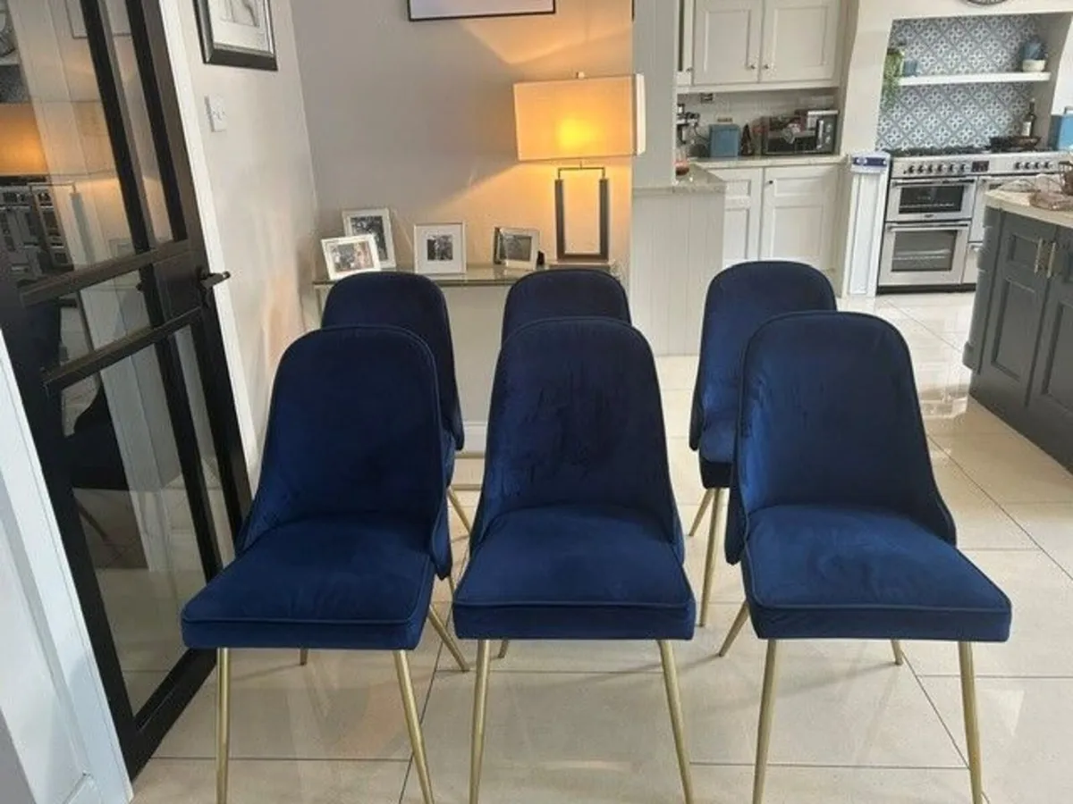 Navy velvet dining chairs - Image 4