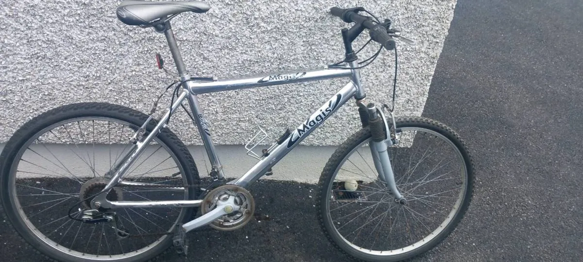 Adult  bike - Image 1