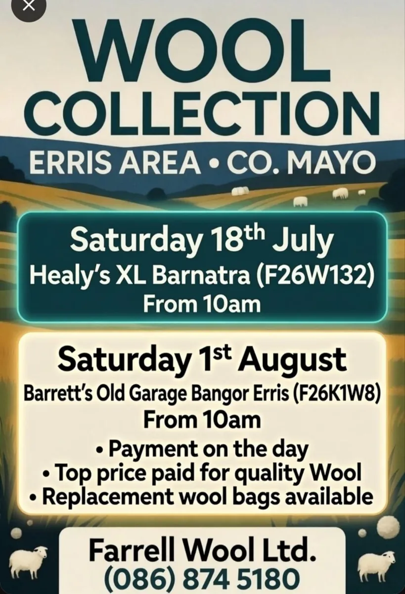 Wool Collection Erris Co Mayo - Image 2