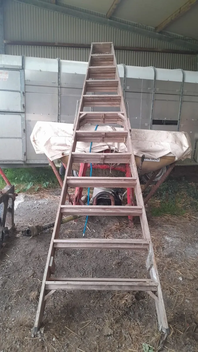 Timber step ladder