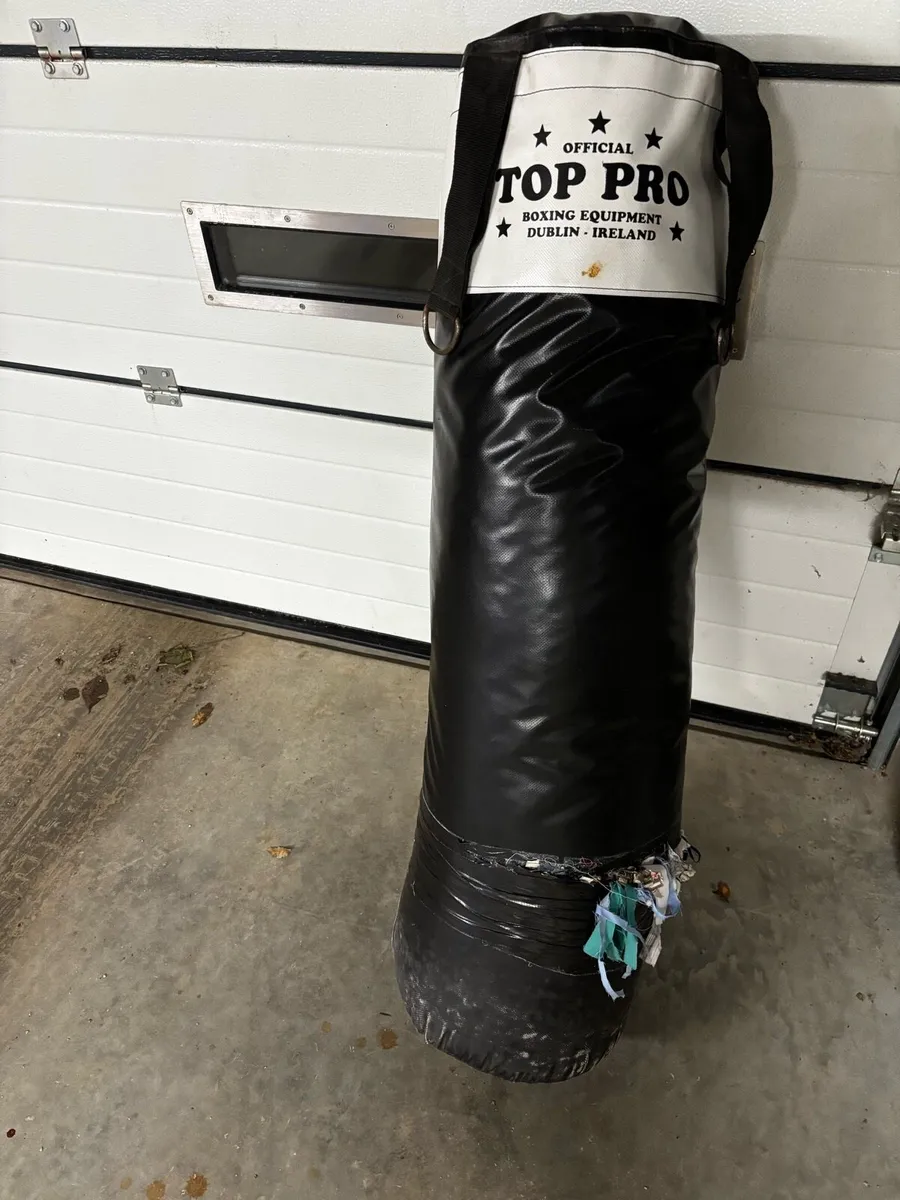 Punch Bag (free) - Image 1