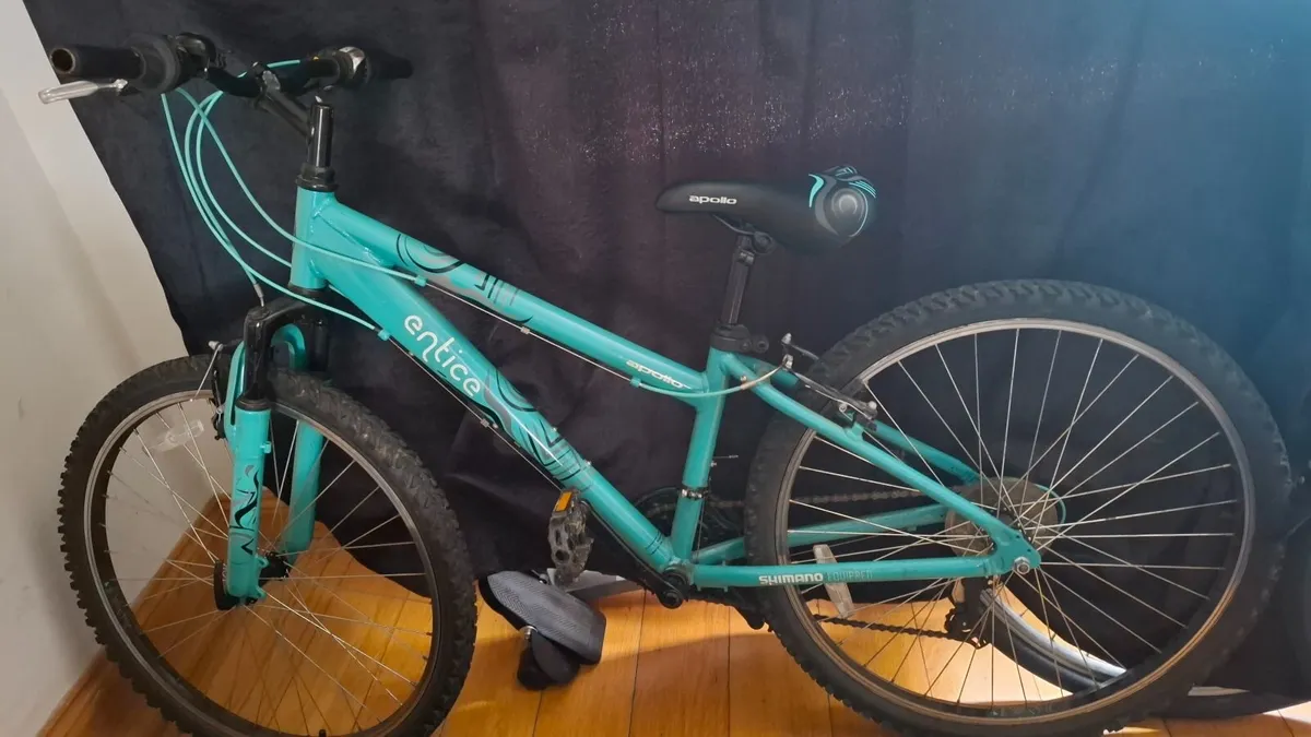 Bike - Image 4