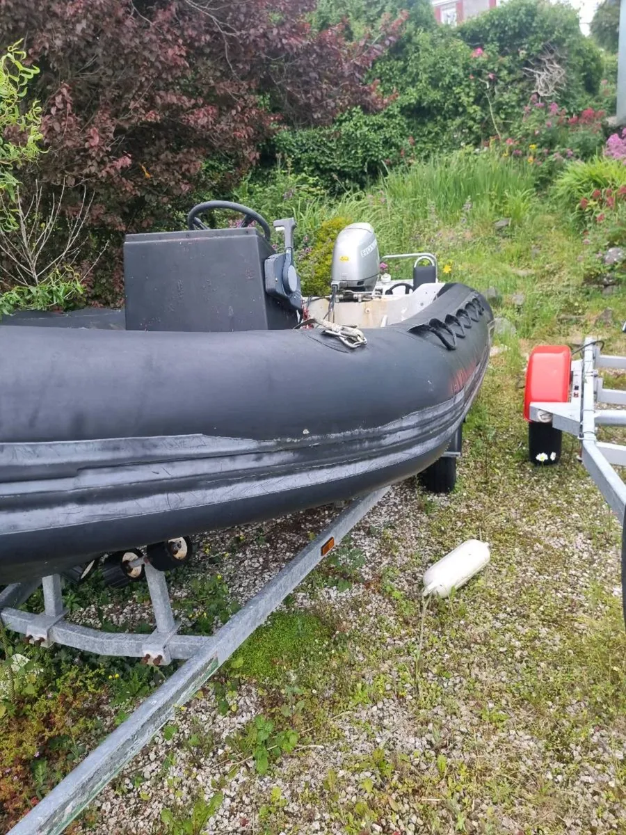 Rib - Image 2