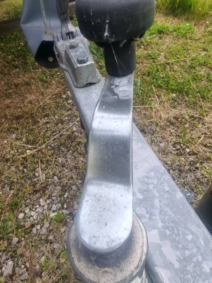 Rib - Image 4