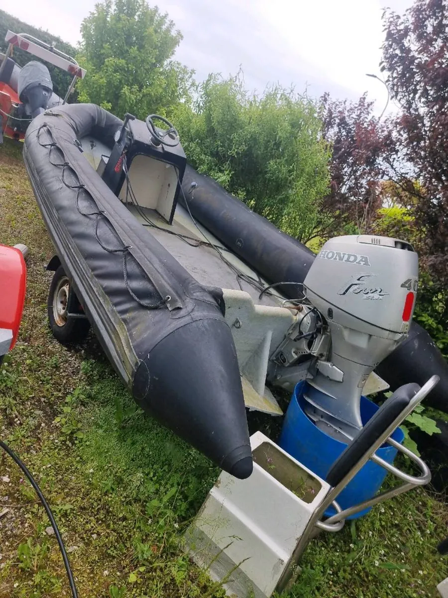 Rib - Image 1