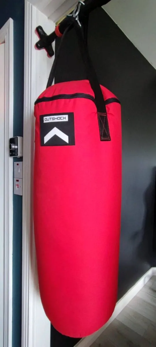 Punching Bag  and Gloves - Image 1