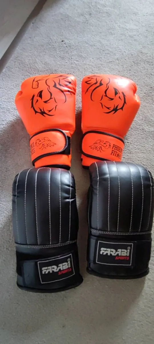 Punching Bag  and Gloves - Image 2