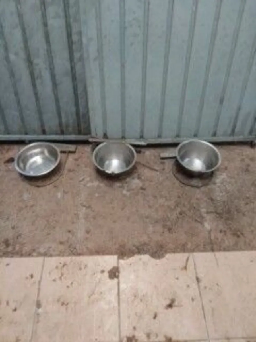 6ft panels for dog runs - Image 2
