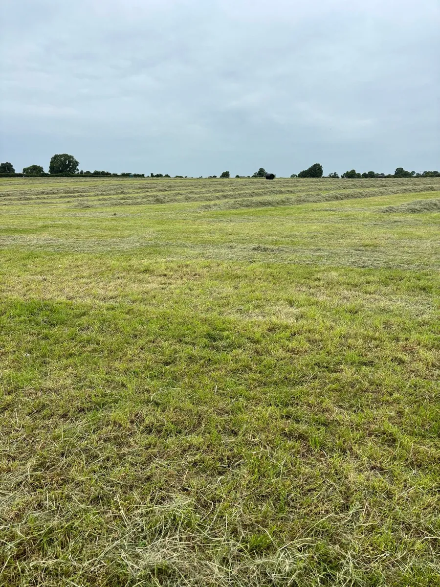 Haylage - Image 1