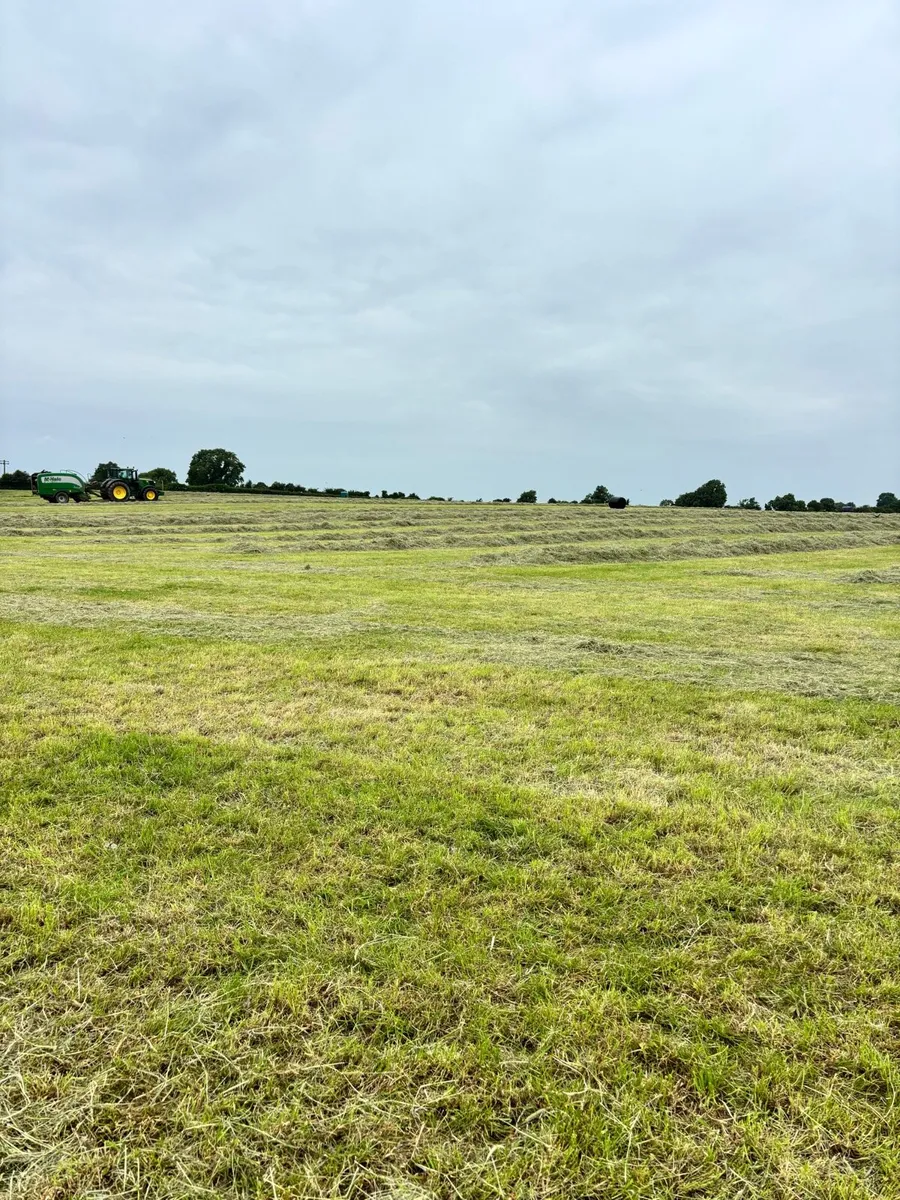 Haylage - Image 3