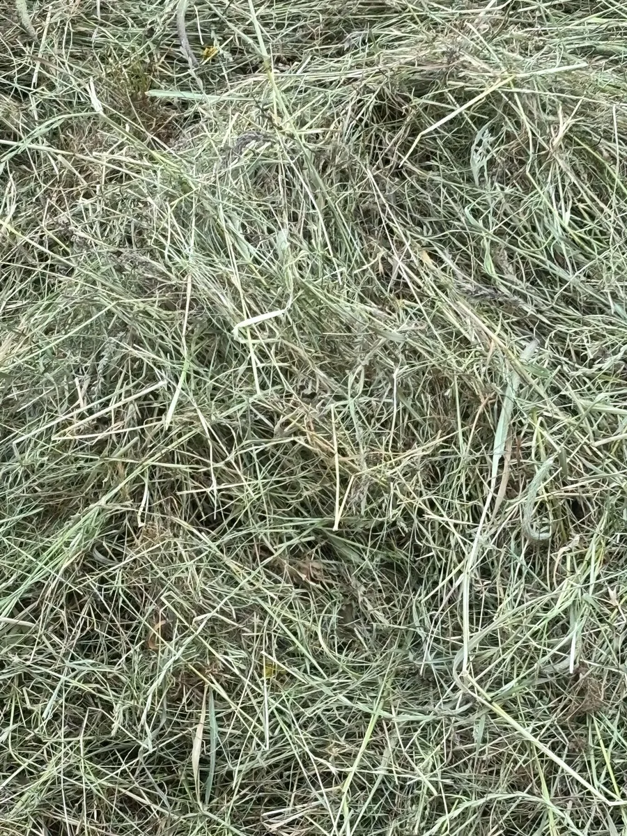 Haylage - Image 4