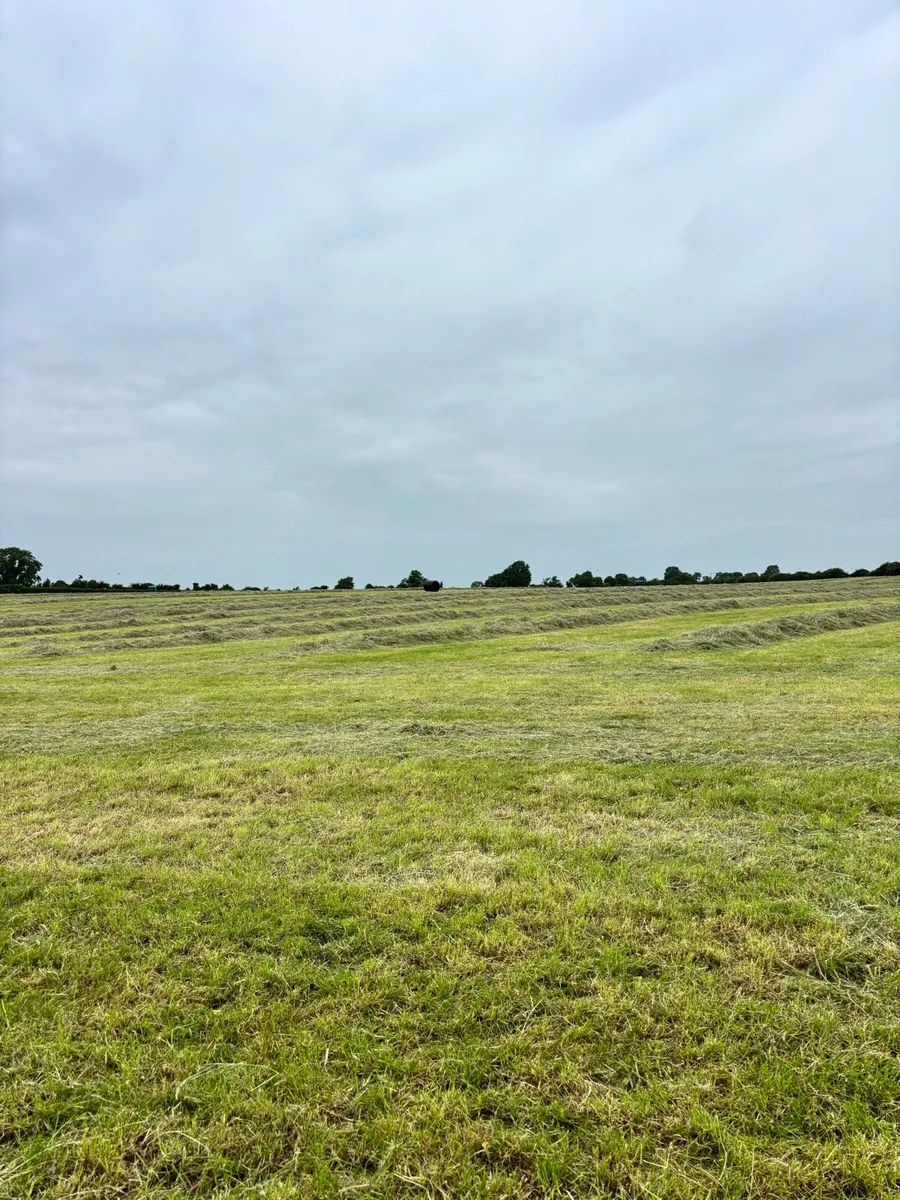 Haylage - Image 2