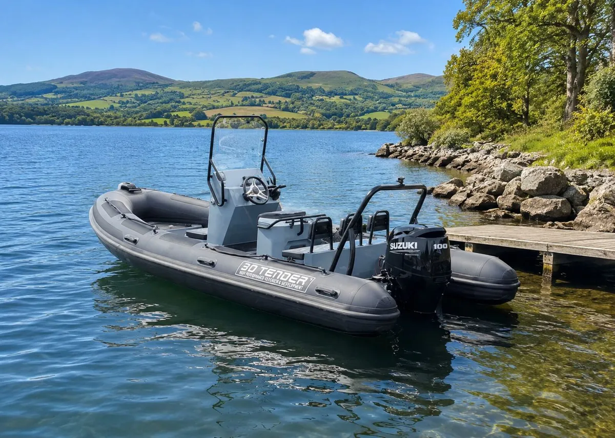 3D TENDER Ribs - Image 1
