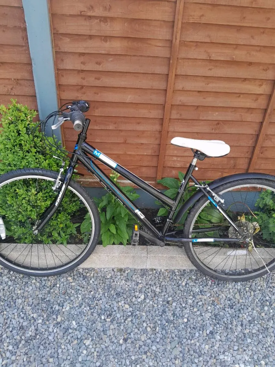 Girls Bicycle - Image 1