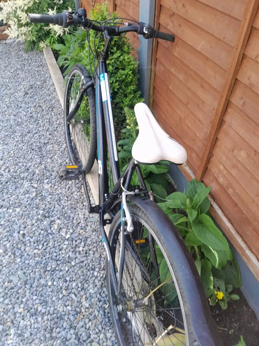 Girls Bicycle - Image 2