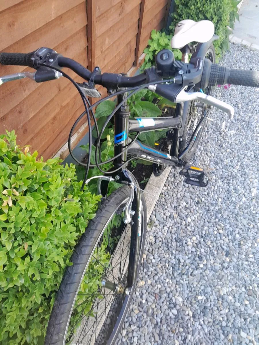 Girls Bicycle - Image 3