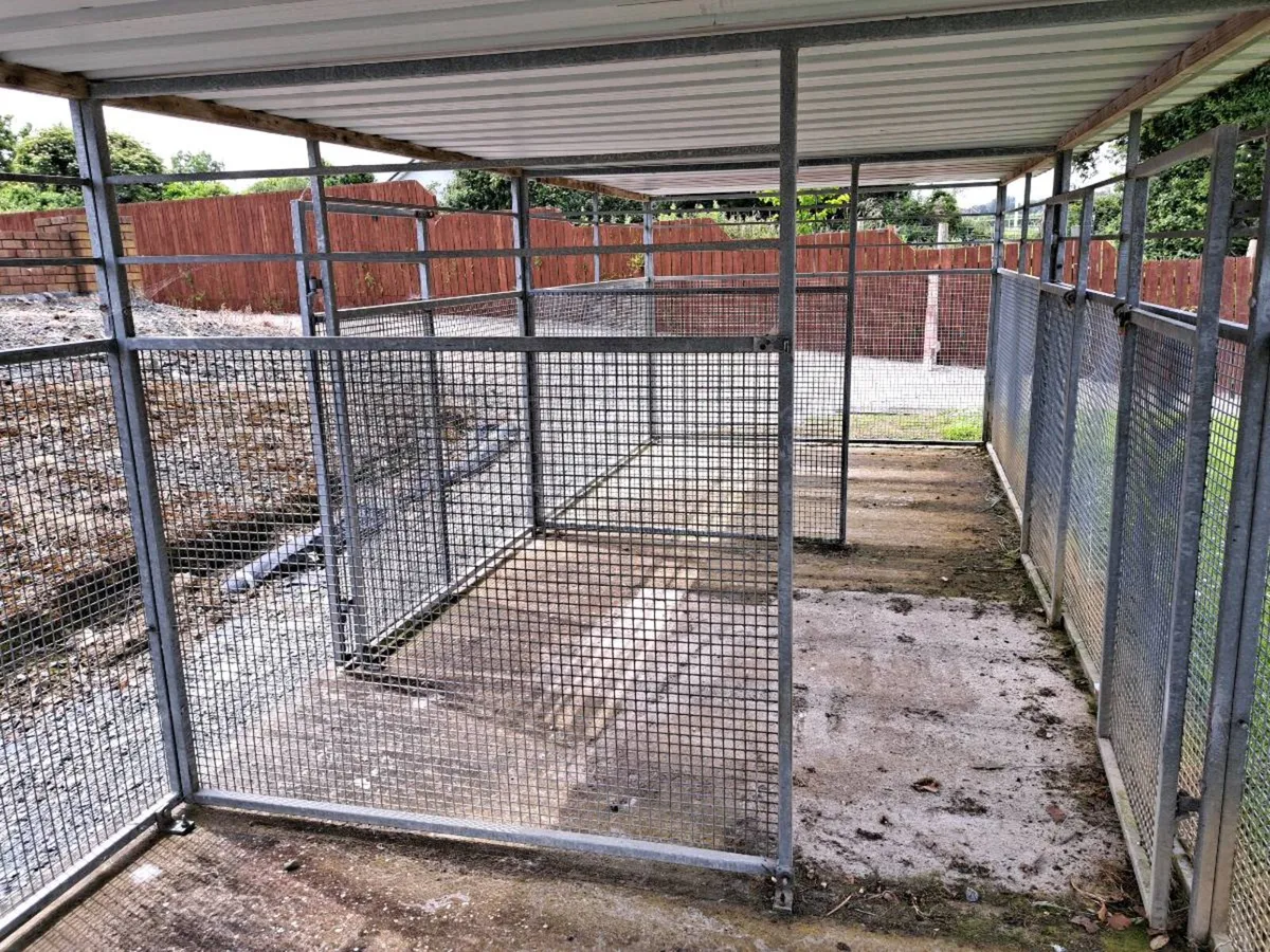 Dog Pen - Image 4