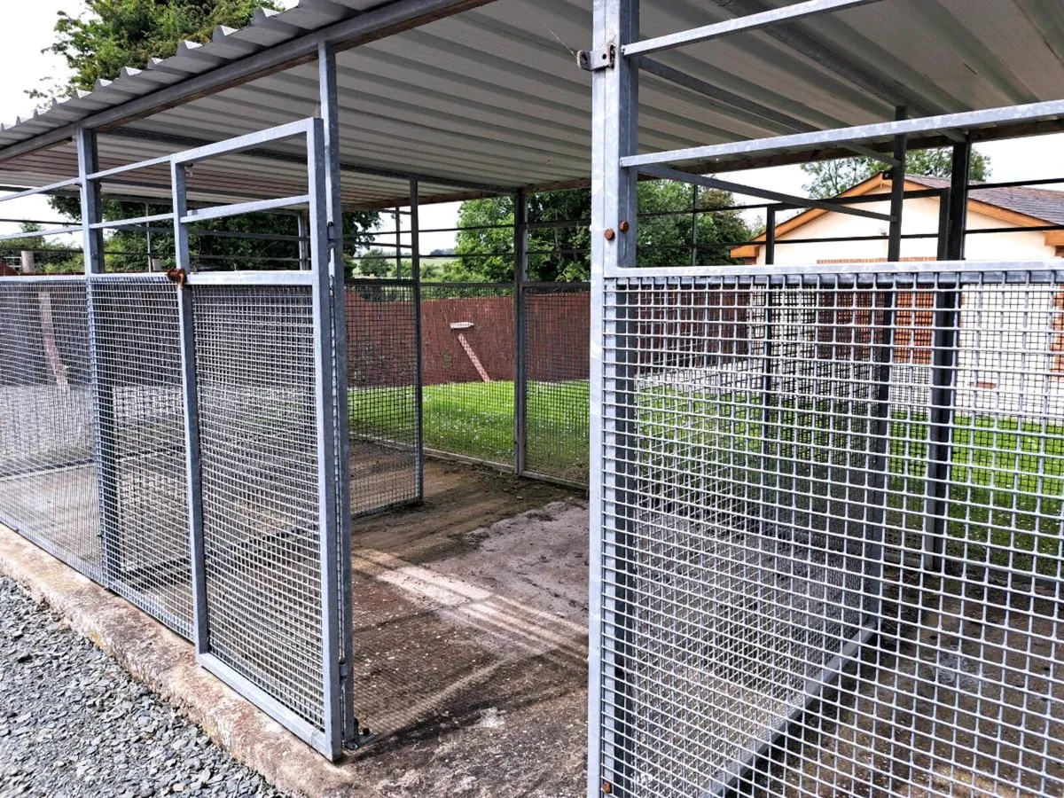 Dog Pen - Image 2