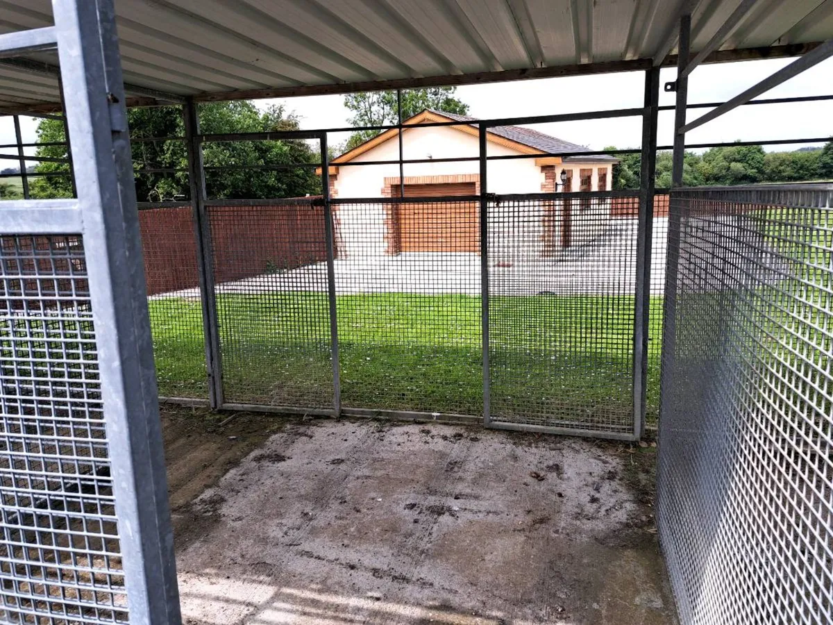 Dog Pen - Image 3