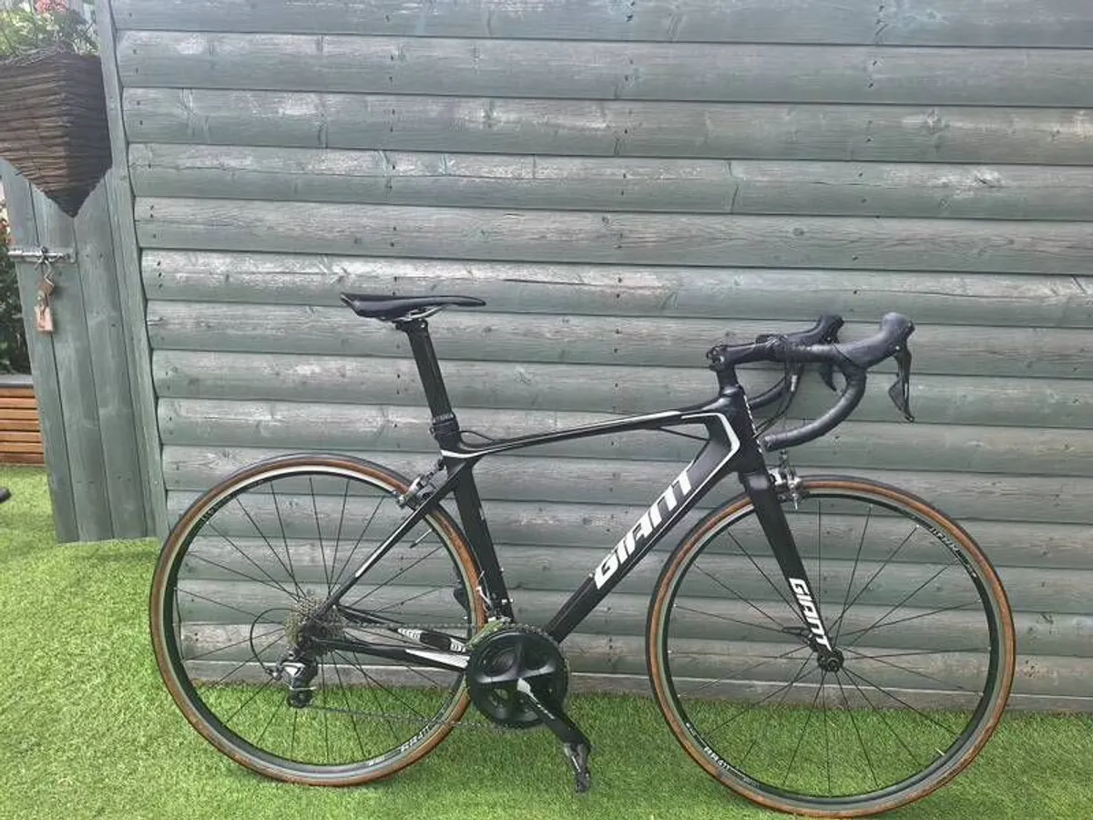 Giant TCR Size Medium - Image 1