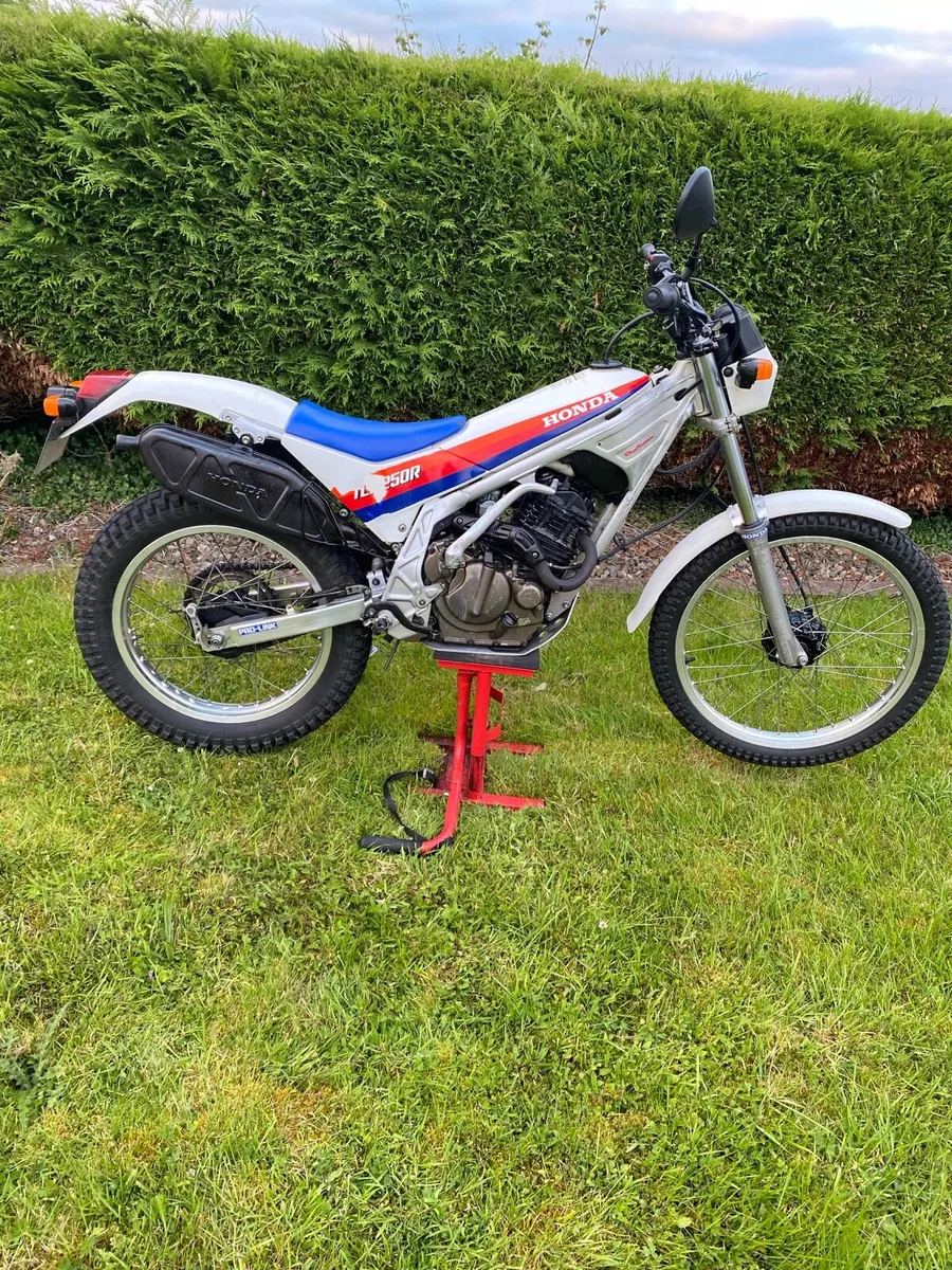 Honda TLR 250cc 1986 - Image 1