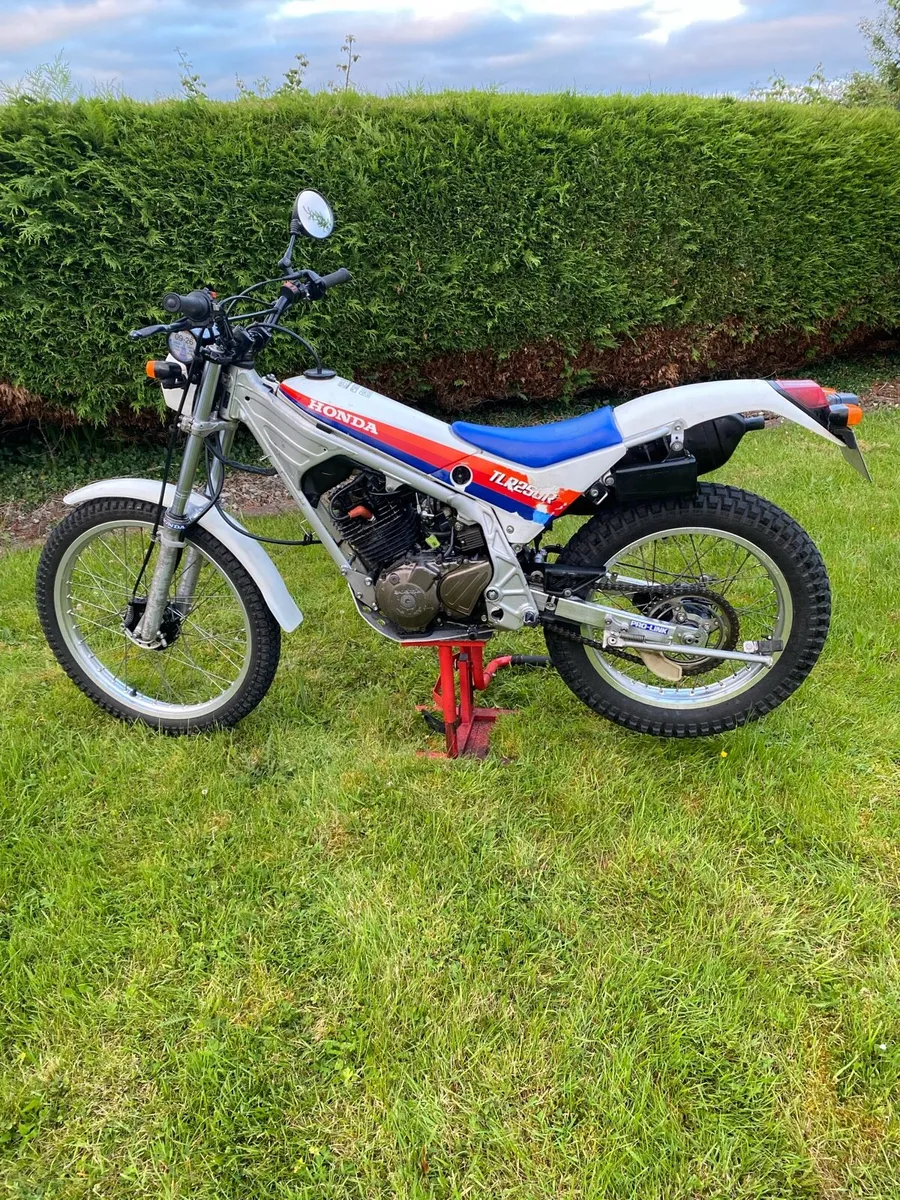 Honda TLR 250cc 1986 - Image 2