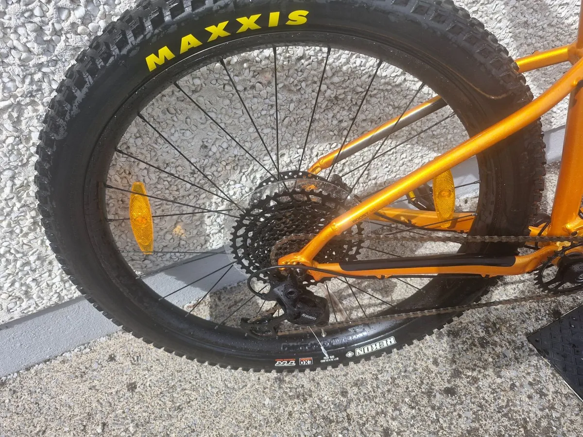Trek roscoe 7 and buzz car rack - Image 1