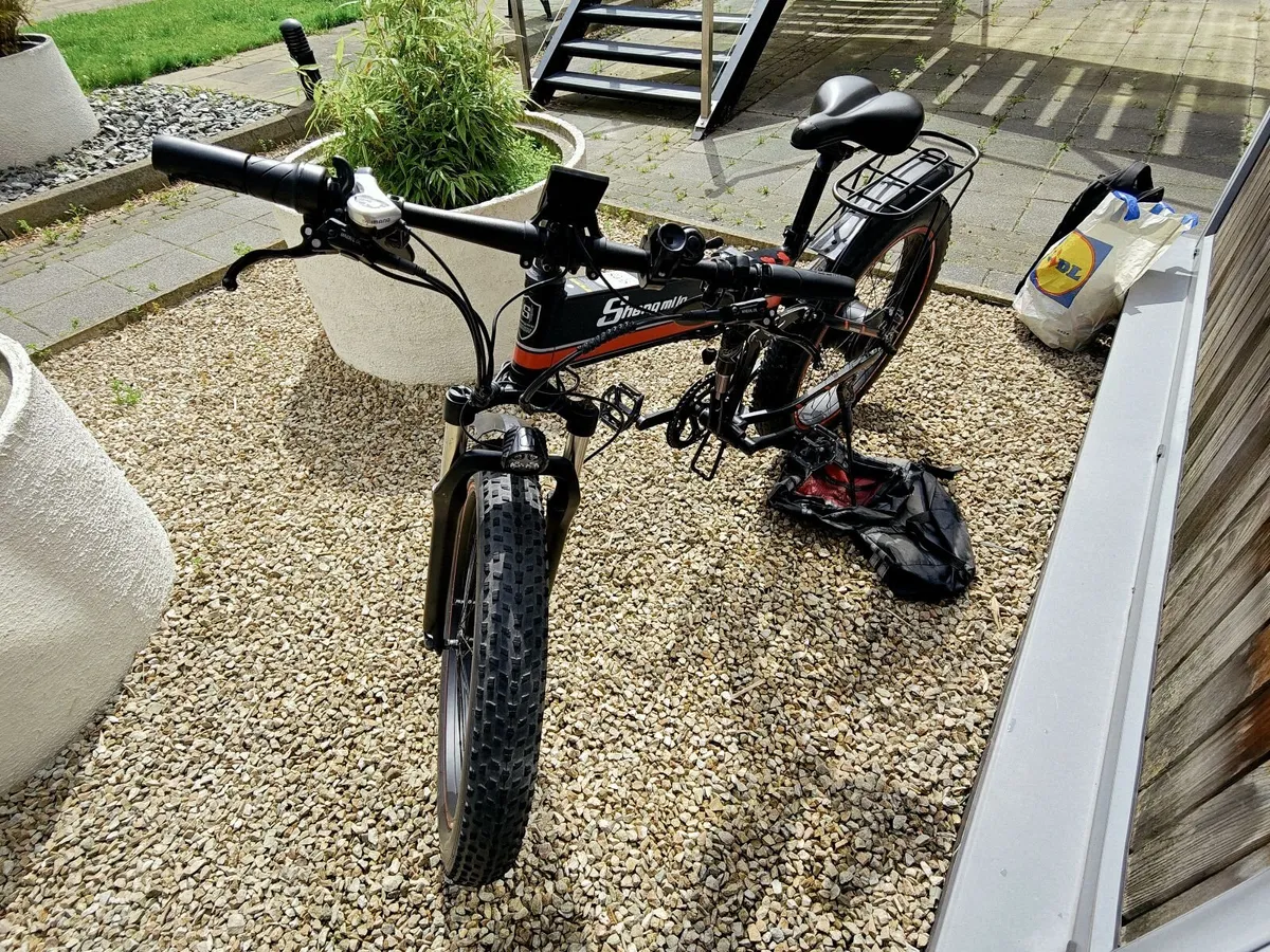 Electric Bicycle - Image 4