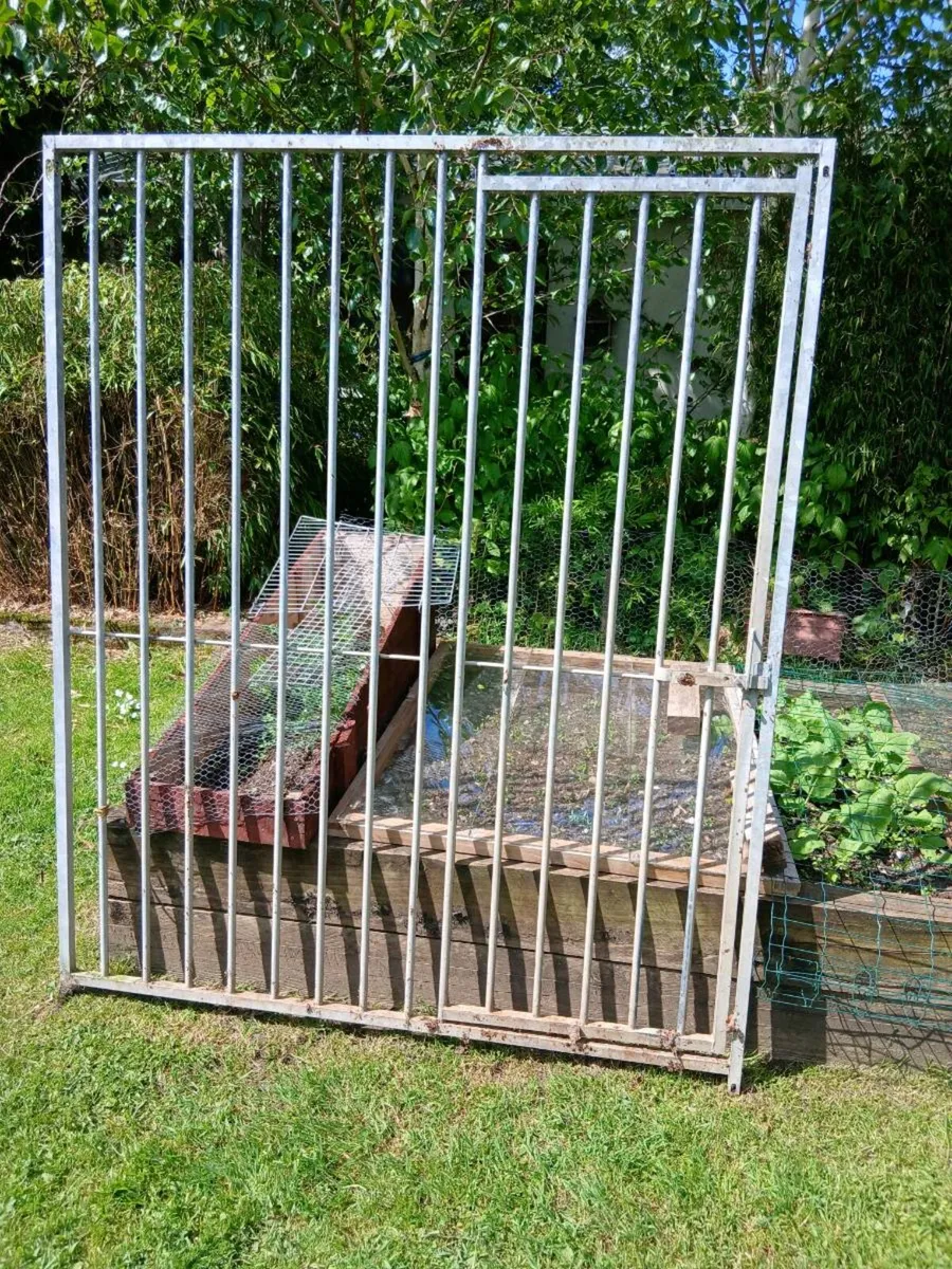 Dog run - Image 1