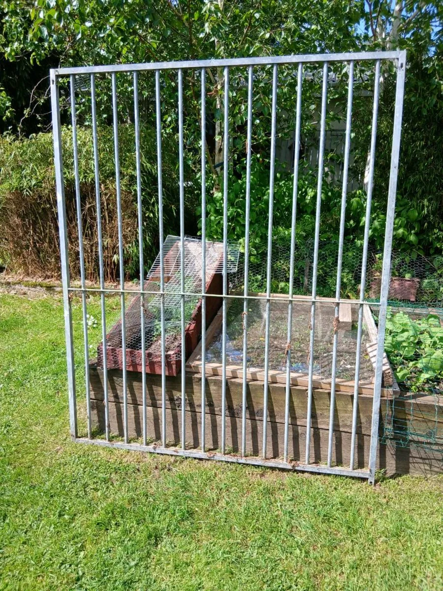 Dog run - Image 2
