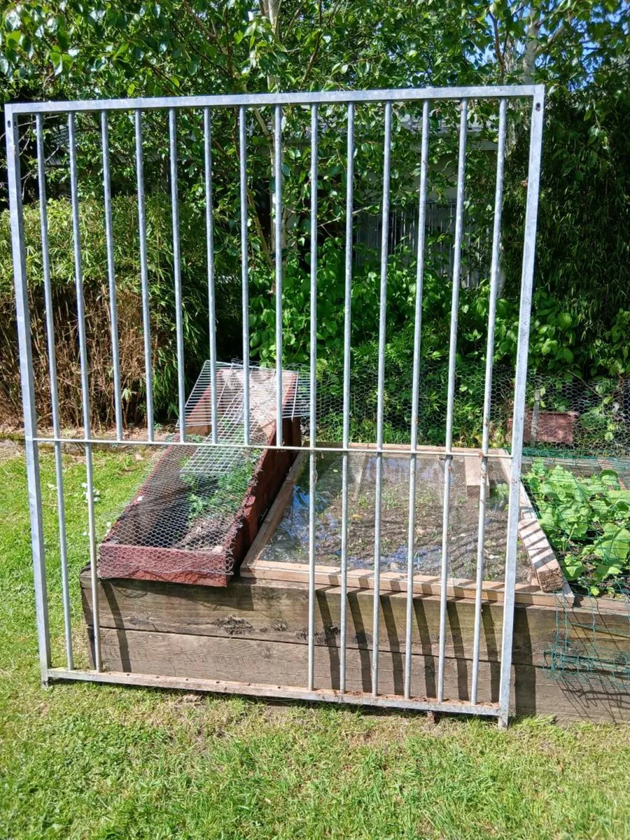 Dog run - Image 3