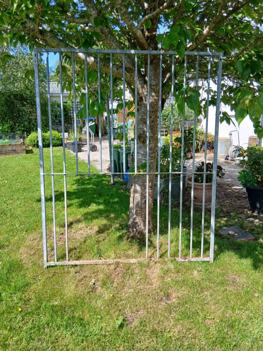 Dog run - Image 4