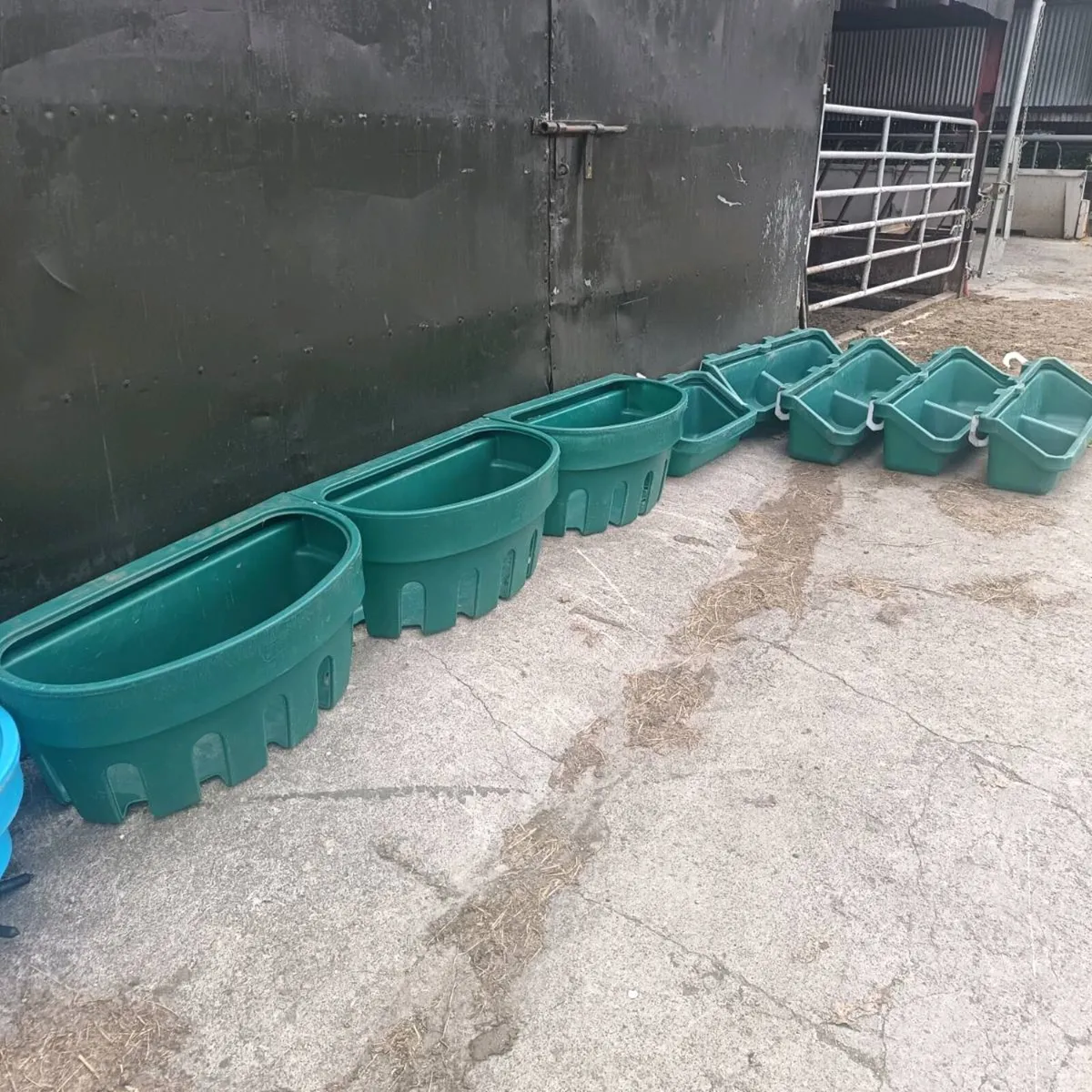 Feeders - Image 1