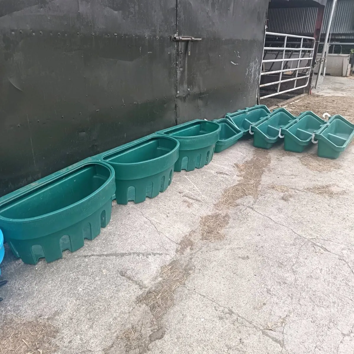 Feeders - Image 2