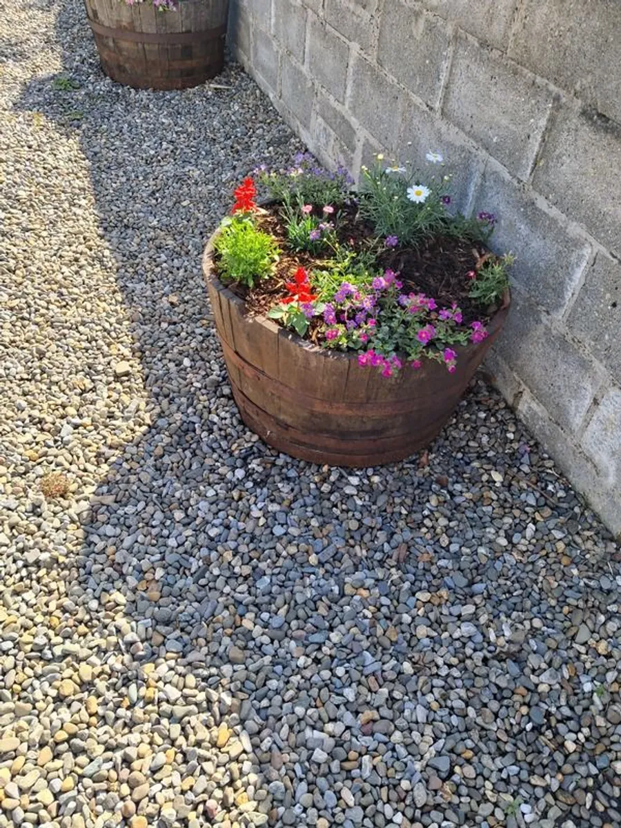 Half whiskey barrels for sale - Image 1