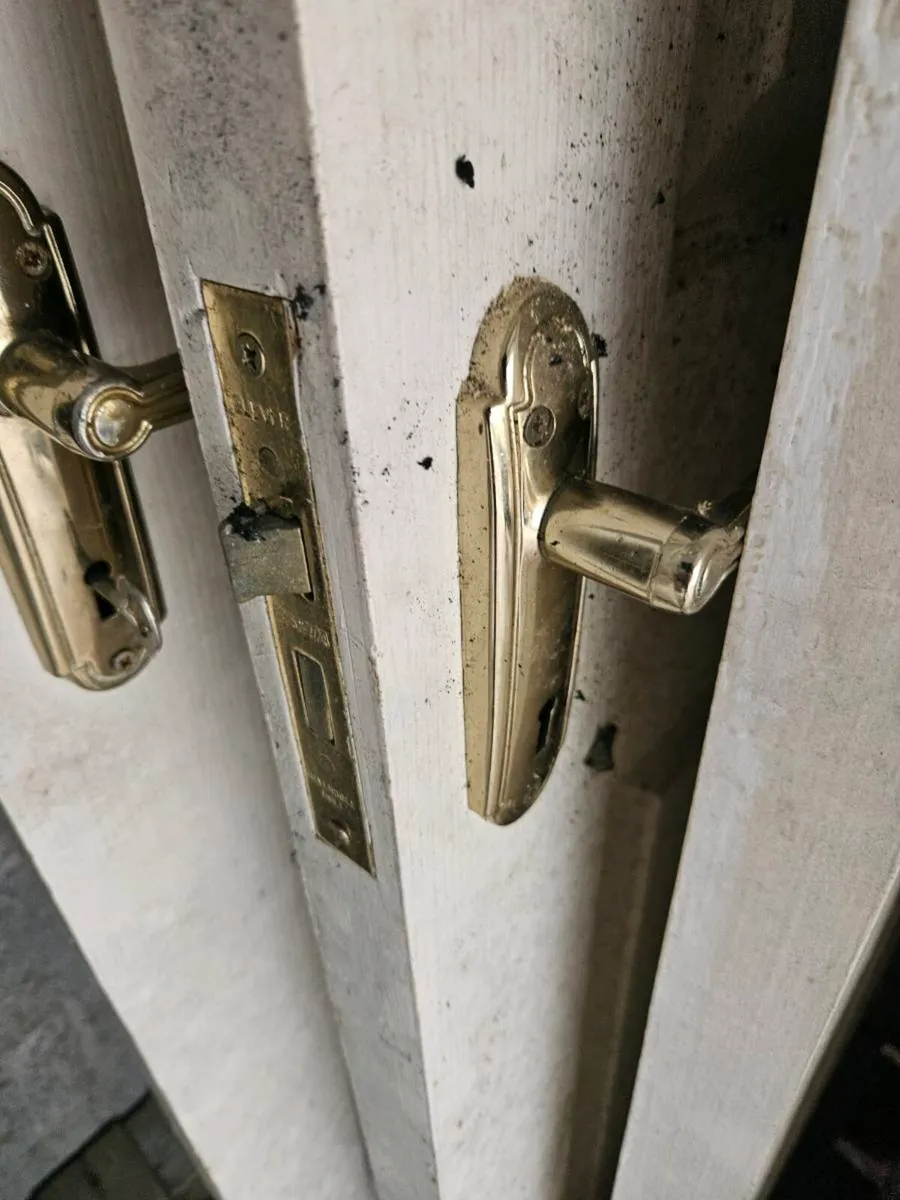 Doors free to take away - Image 4