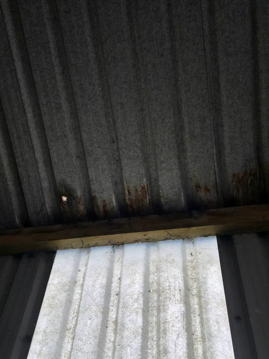 Shed sheeting - Image 4
