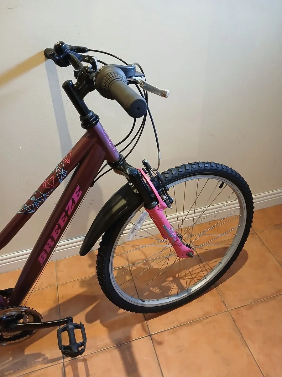 Bicycle - Image 4