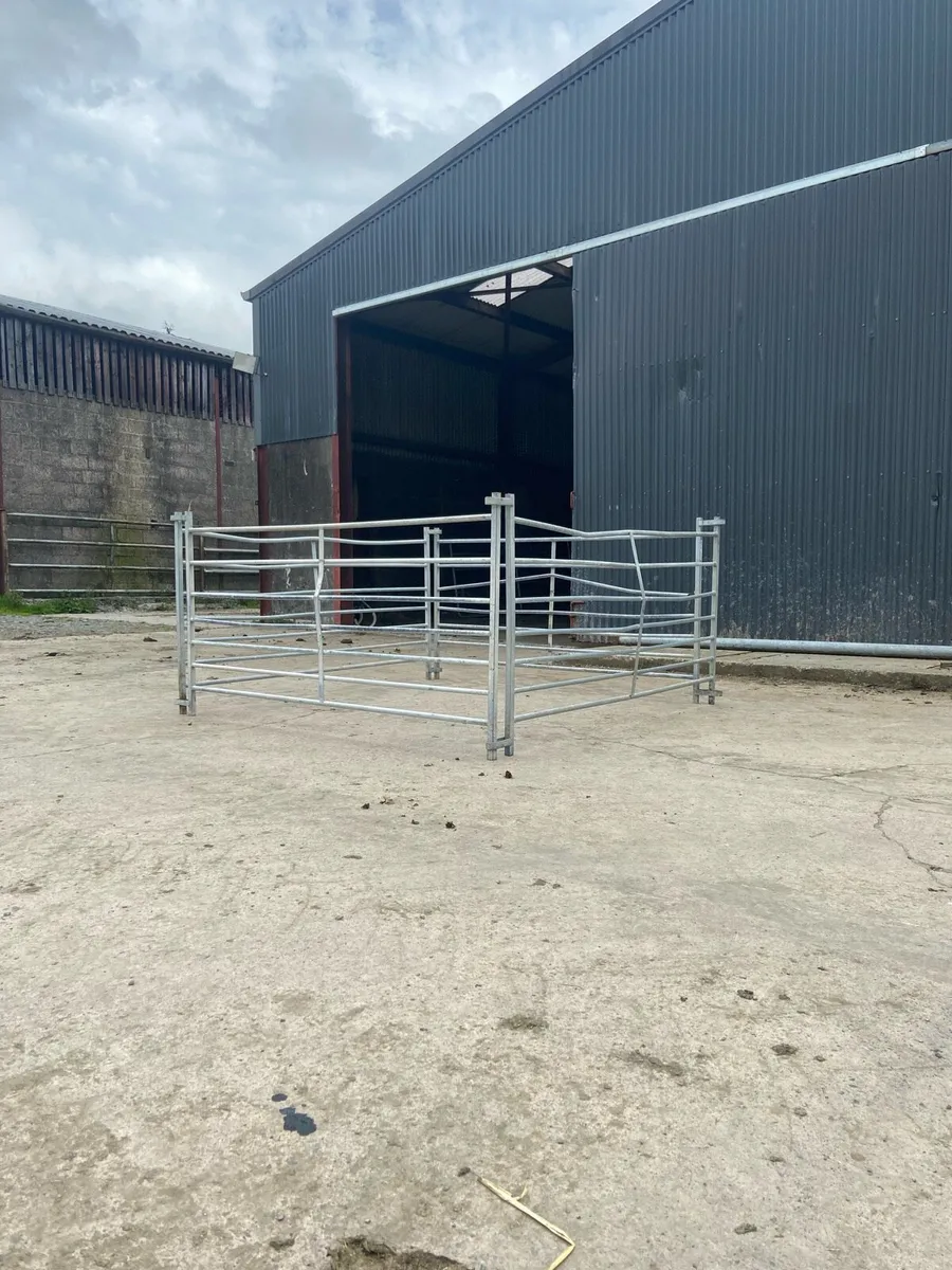 4 IAE Sheep Hurdles - Image 2