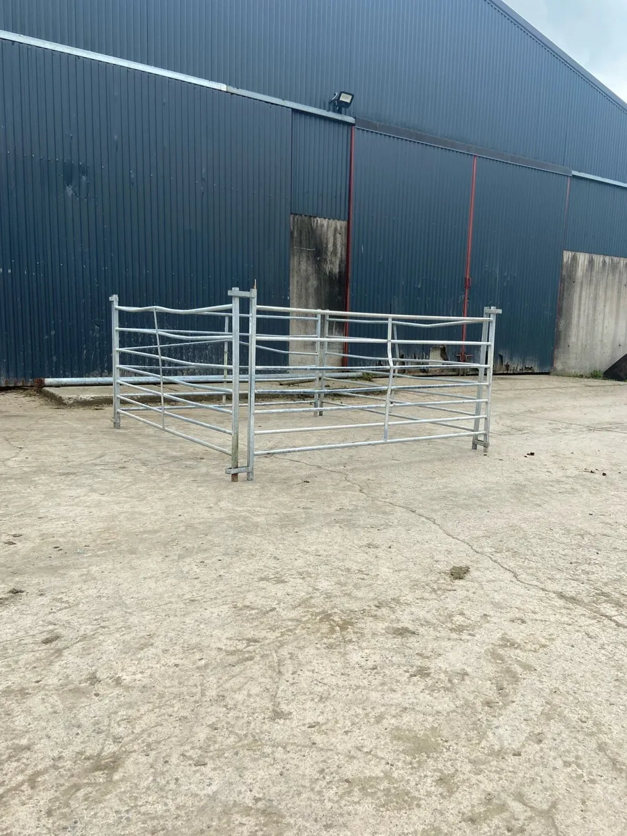 4 IAE Sheep Hurdles - Image 1
