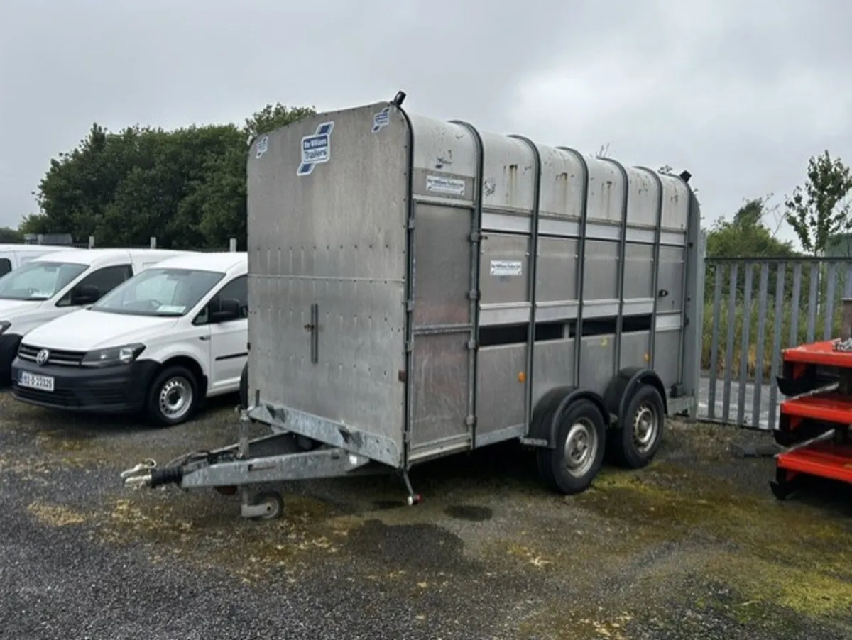 Ifor williams Cattle trailer