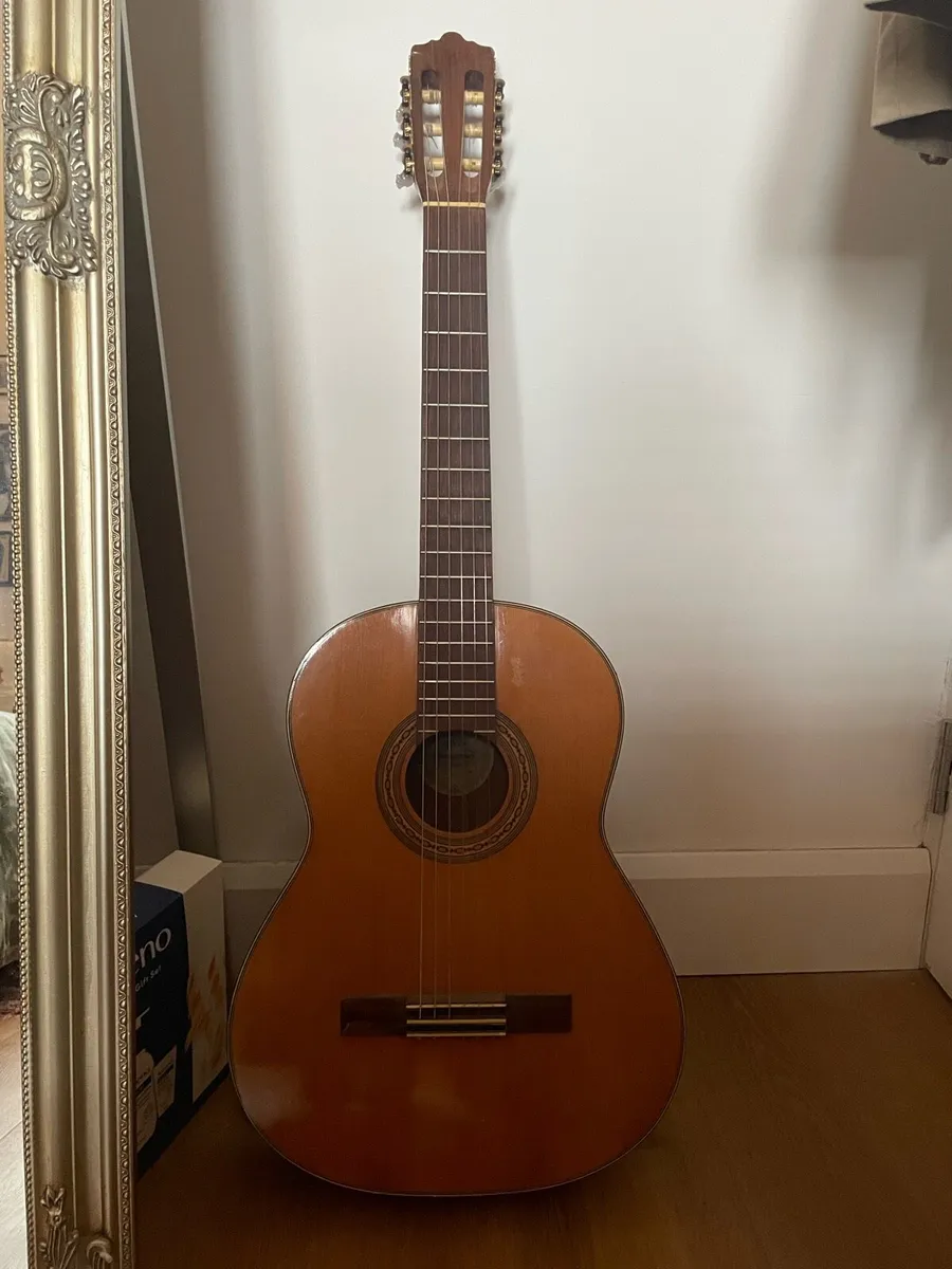 Acoustic Guitar - Image 1
