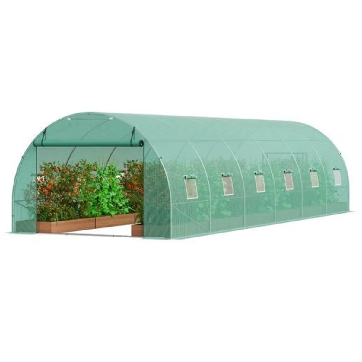 Polytunnel 20ft Galvanized Frame PE Cover Green Wa - Image 4
