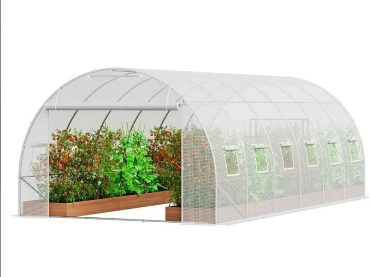 Polytunnel 20ft Galvanized Frame PE Cover Green Wa - Image 3